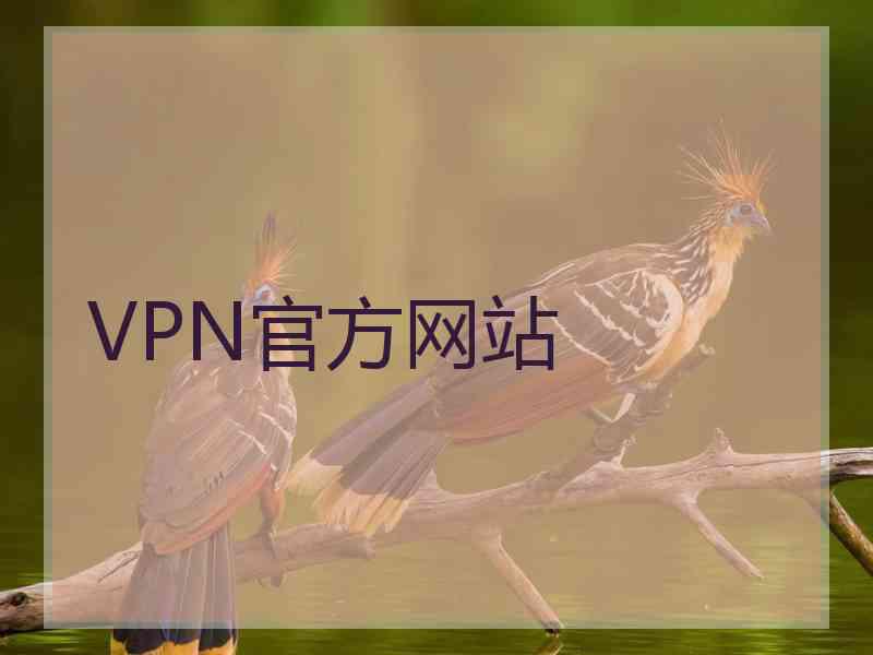 VPN官方网站