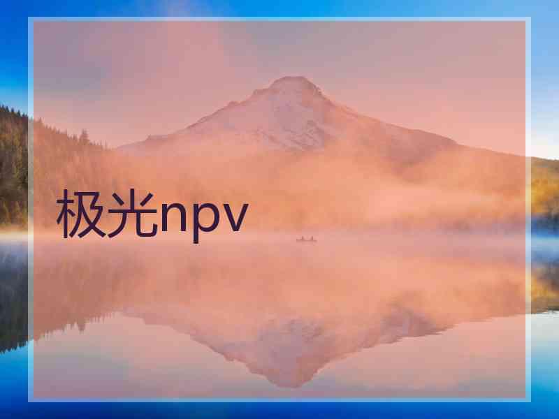 极光npv