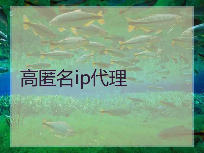 高匿名ip代理