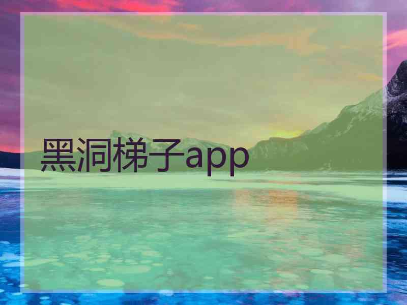 黑洞梯子app