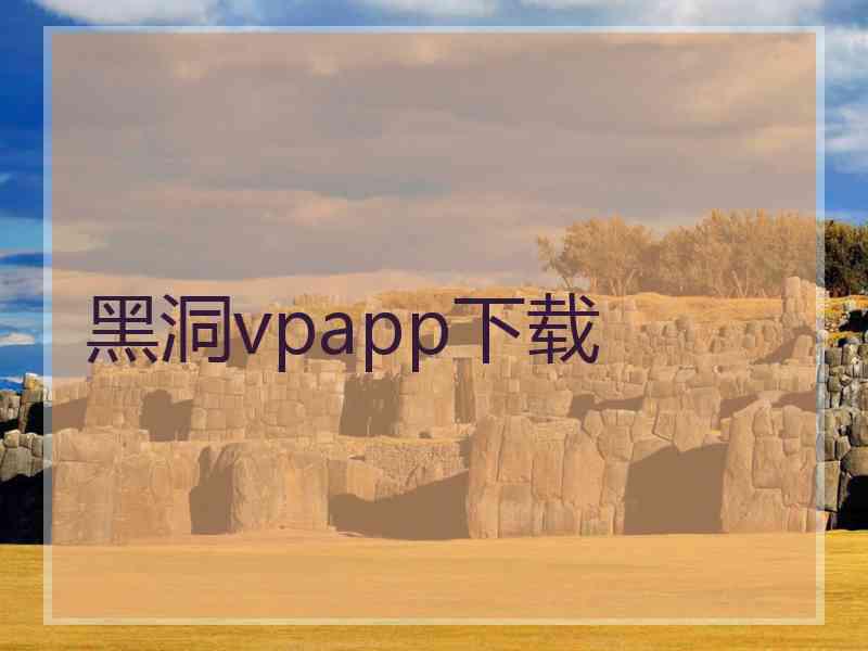 黑洞vpapp下载