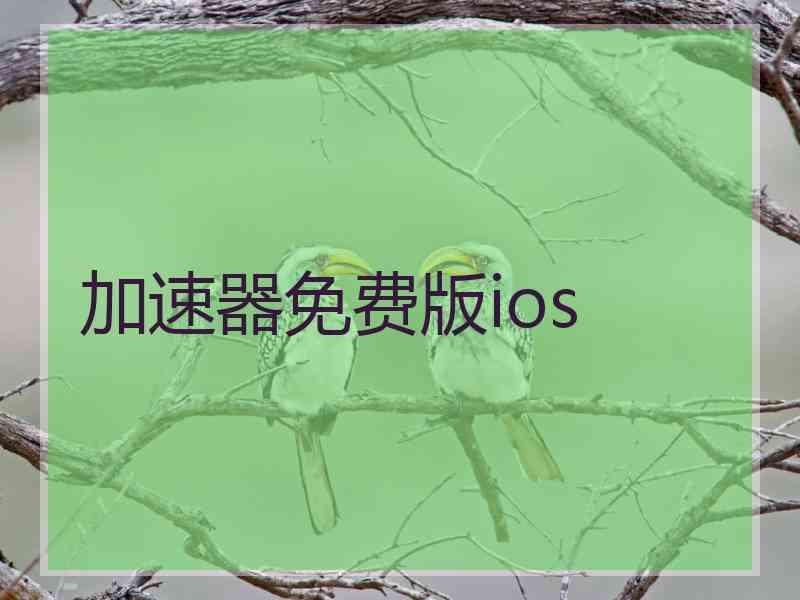 加速器免费版ios