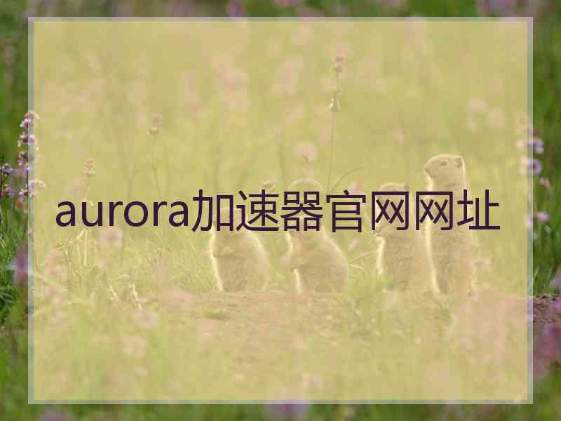 aurora加速器官网网址