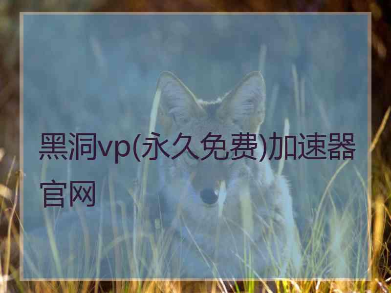 黑洞vp(永久免费)加速器官网