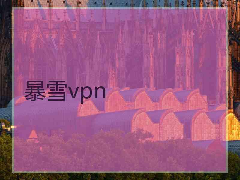 暴雪vpn