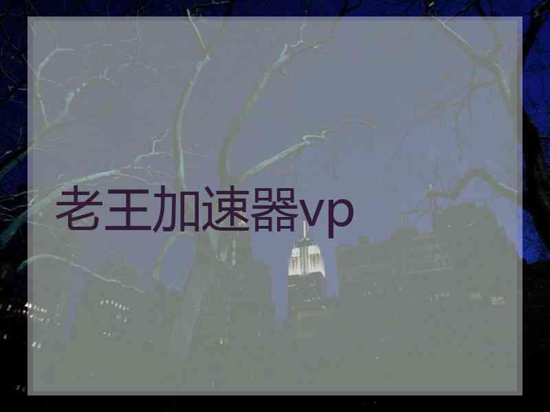 老王加速器vp