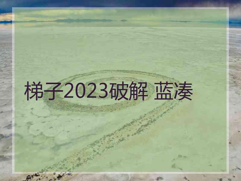 梯子2023破解 蓝凑