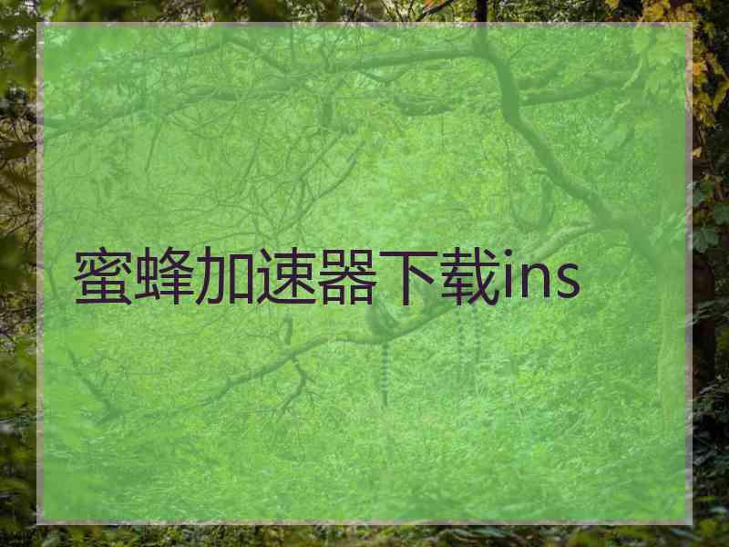 蜜蜂加速器下载ins