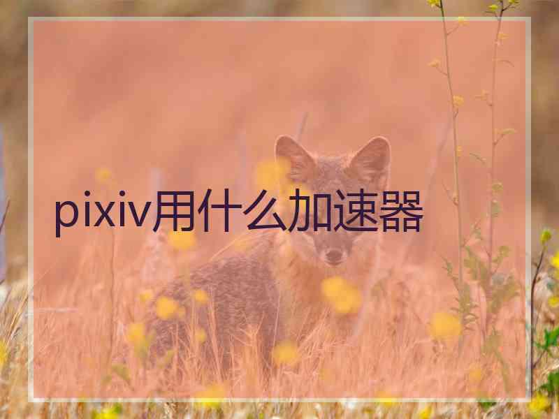 pixiv用什么加速器