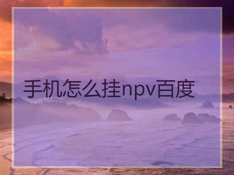 手机怎么挂npv百度