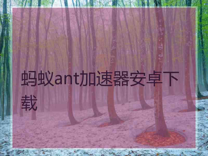 蚂蚁ant加速器安卓下载