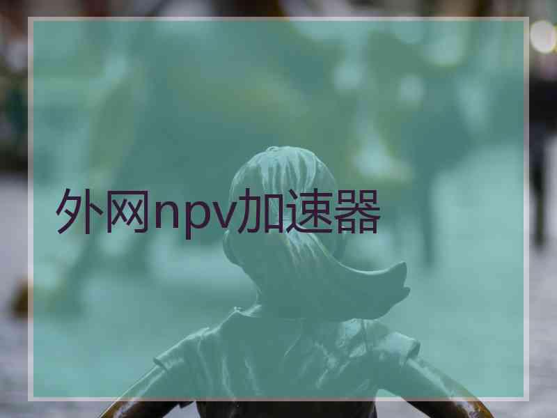 外网npv加速器