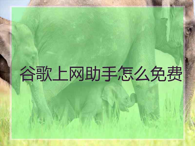 谷歌上网助手怎么免费