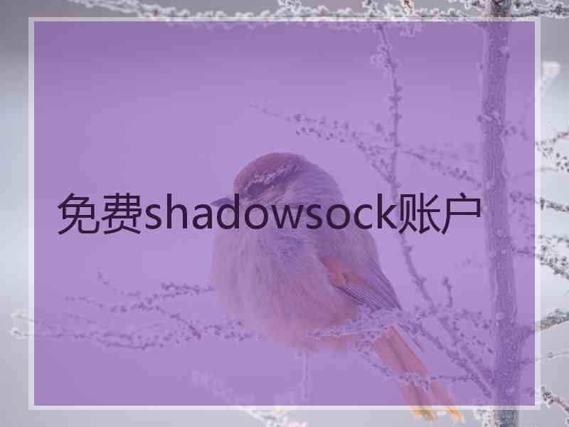 免费shadowsock账户