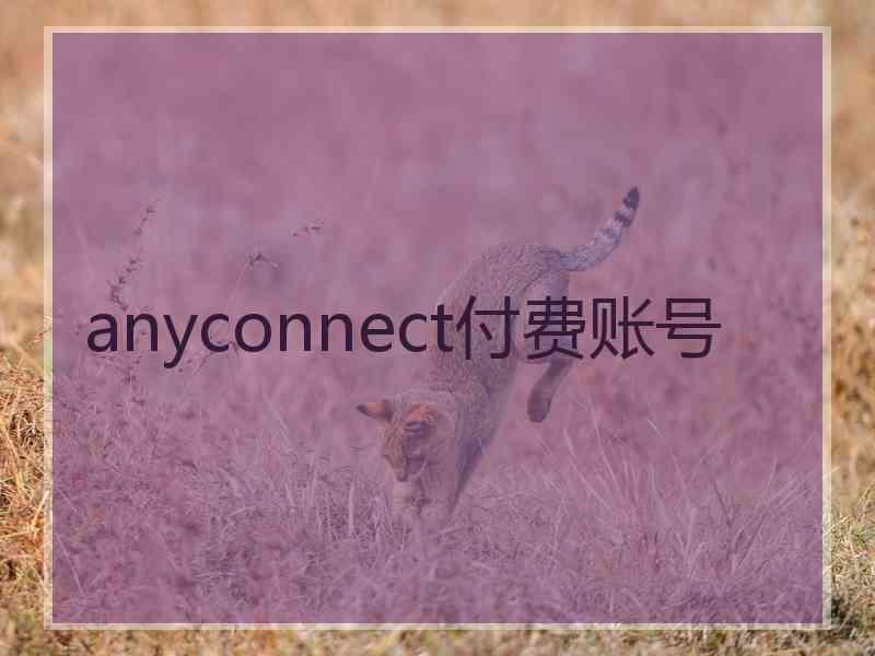 anyconnect付费账号