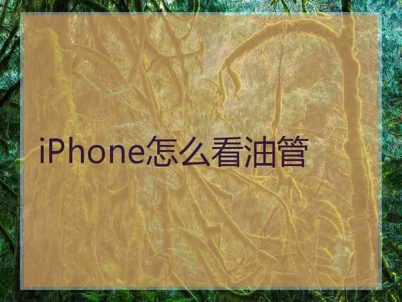 iPhone怎么看油管