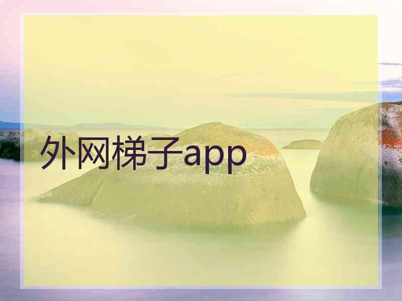 外网梯子app