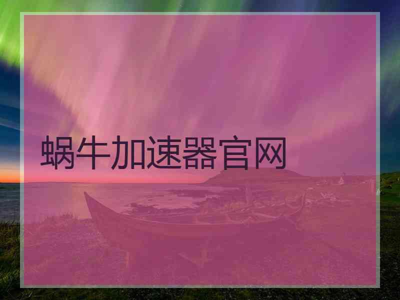 蜗牛加速器官网