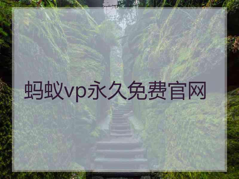 蚂蚁vp永久免费官网