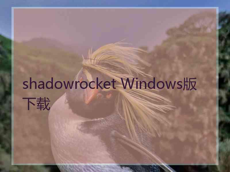 shadowrocket Windows版下载