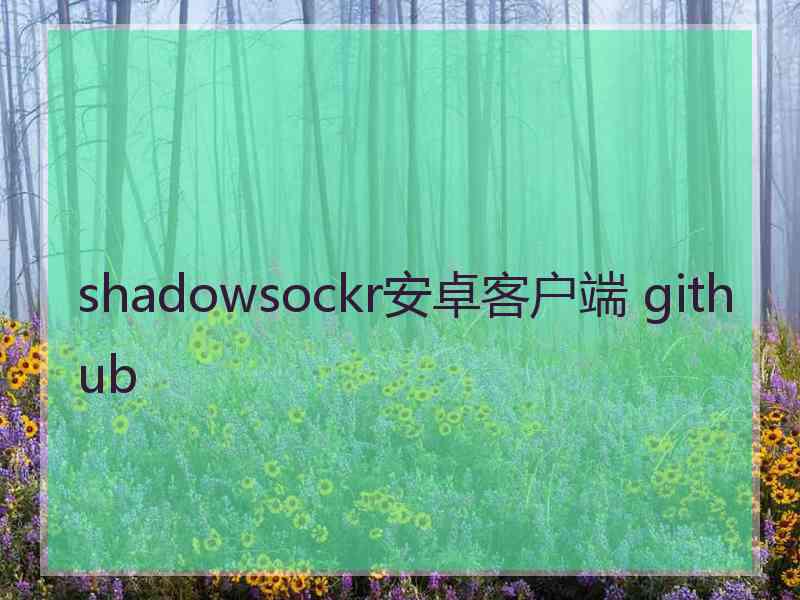 shadowsockr安卓客户端 github