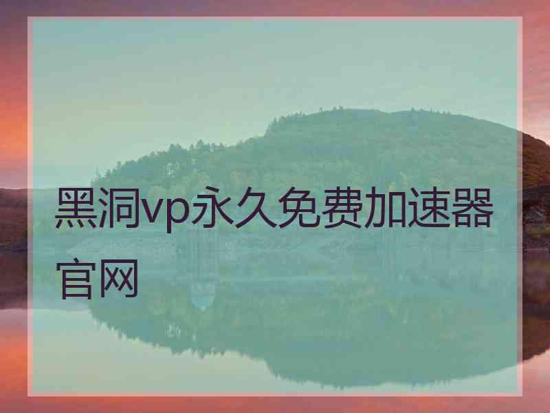 黑洞vp永久免费加速器官网