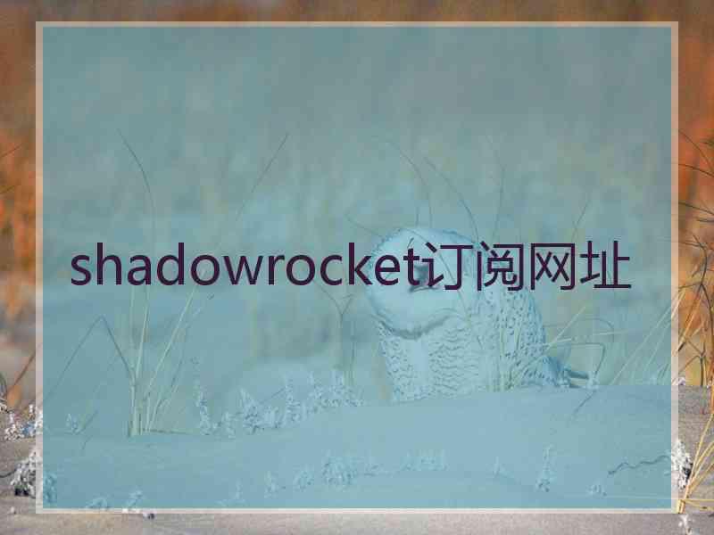 shadowrocket订阅网址