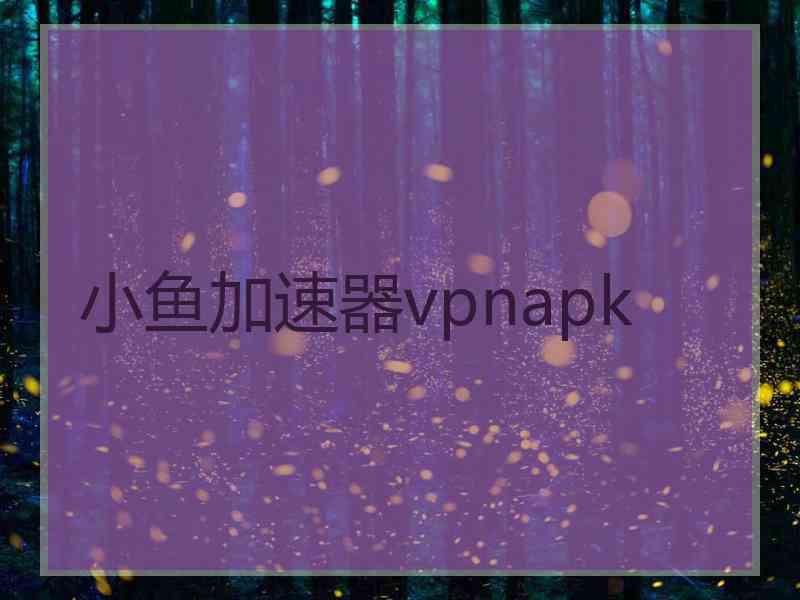 小鱼加速器vpnapk