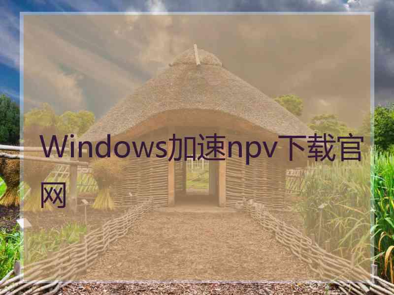 Windows加速npv下载官网