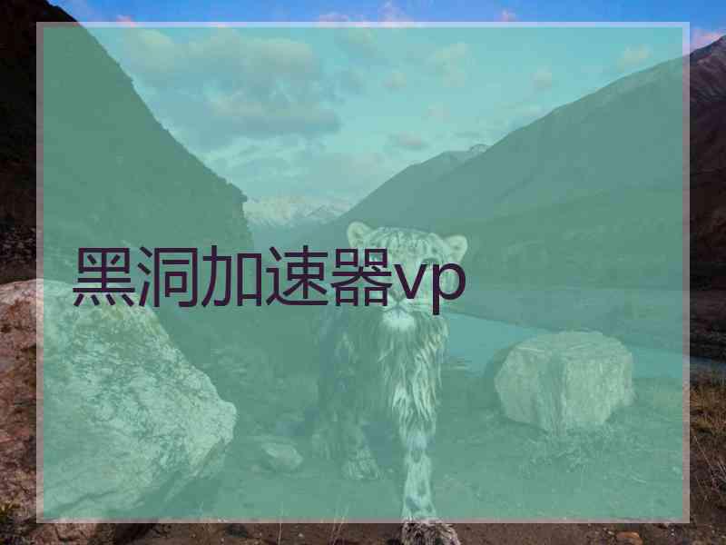 黑洞加速器vp