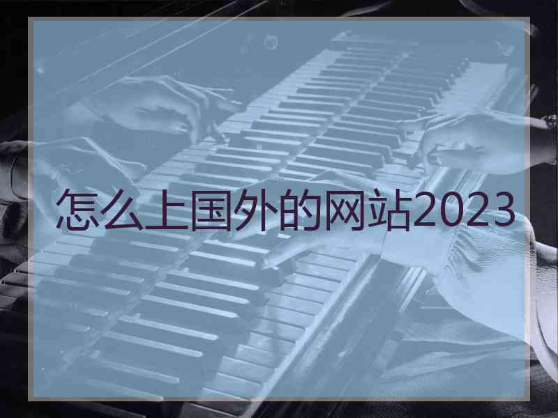 怎么上国外的网站2023