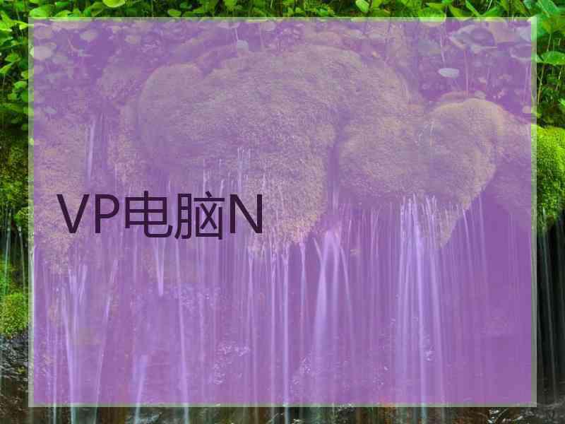 VP电脑N