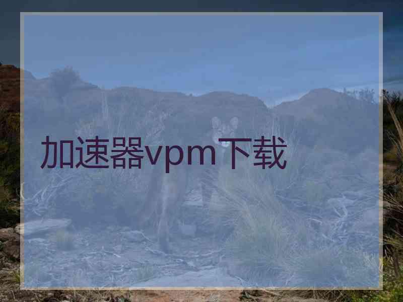 加速器vpm下载