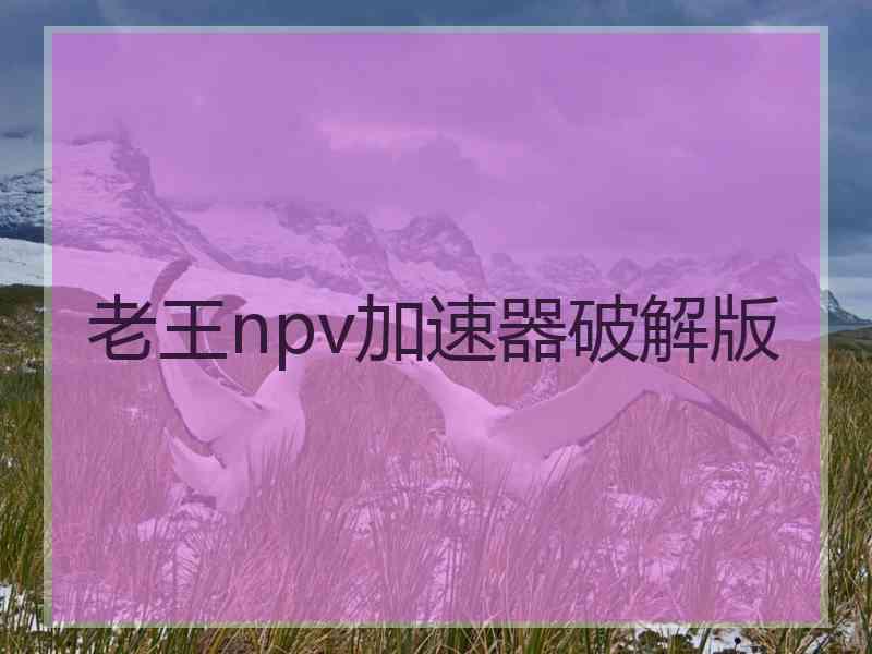 老王npv加速器破解版