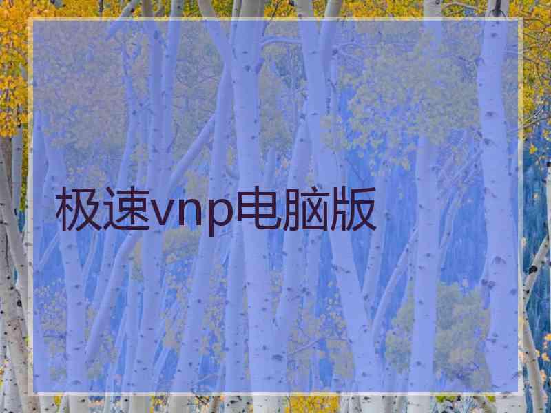 极速vnp电脑版