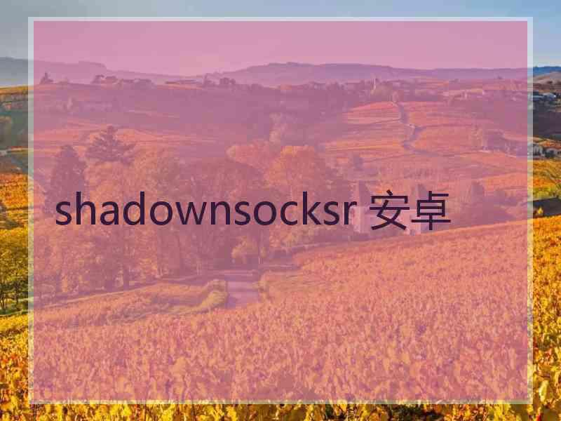 shadownsocksr 安卓