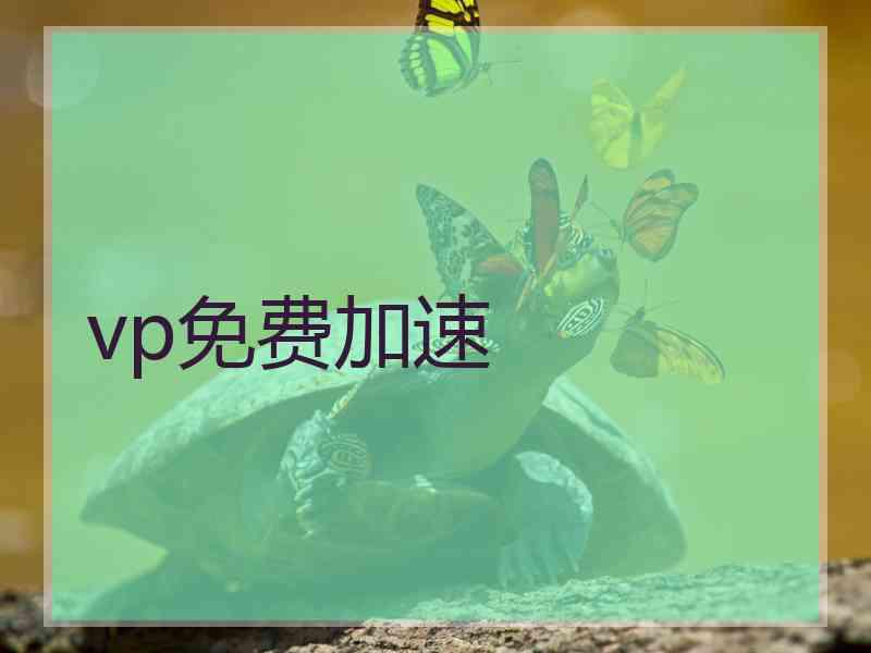 vp免费加速