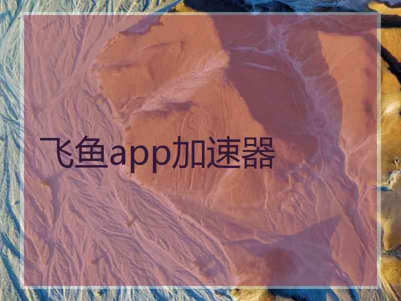 飞鱼app加速器