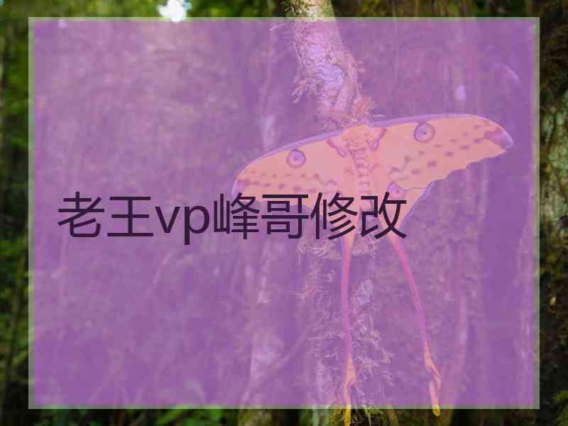 老王vp峰哥修改