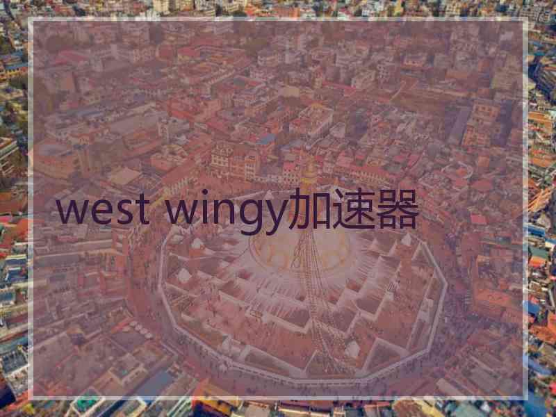 west wingy加速器