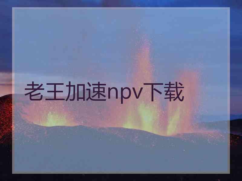 老王加速npv下载