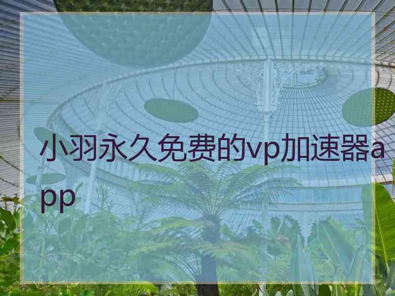 小羽永久免费的vp加速器app