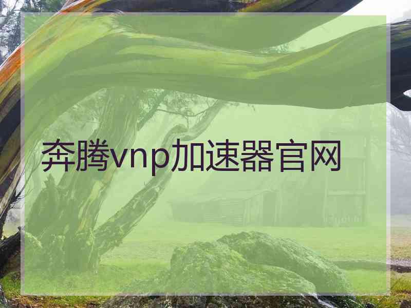 奔腾vnp加速器官网