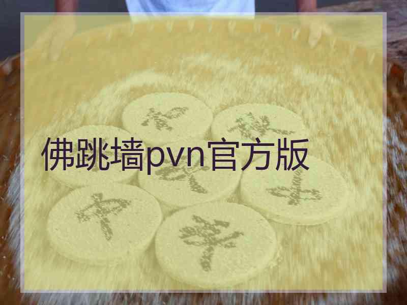 佛跳墙pvn官方版