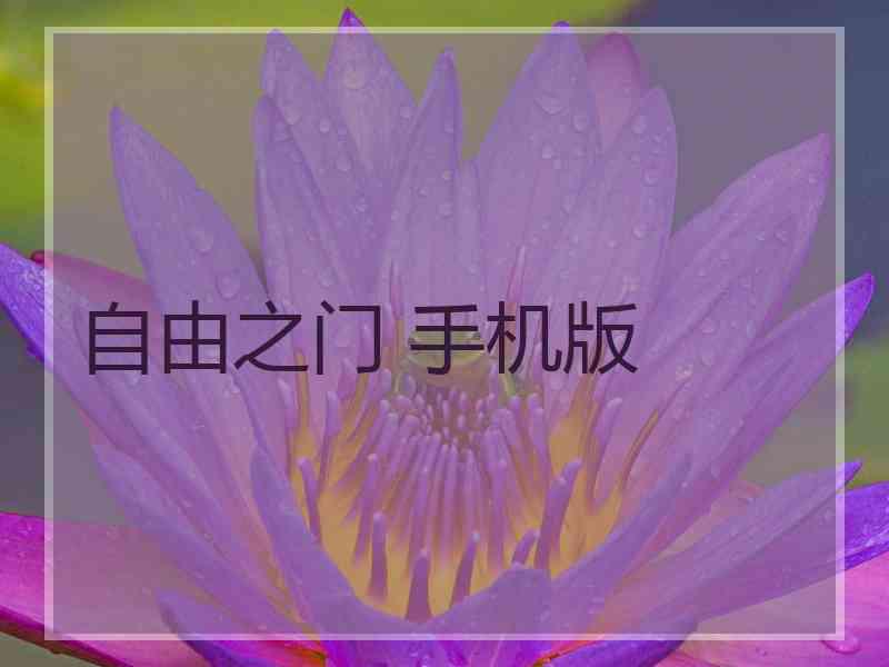 自由之门 手机版