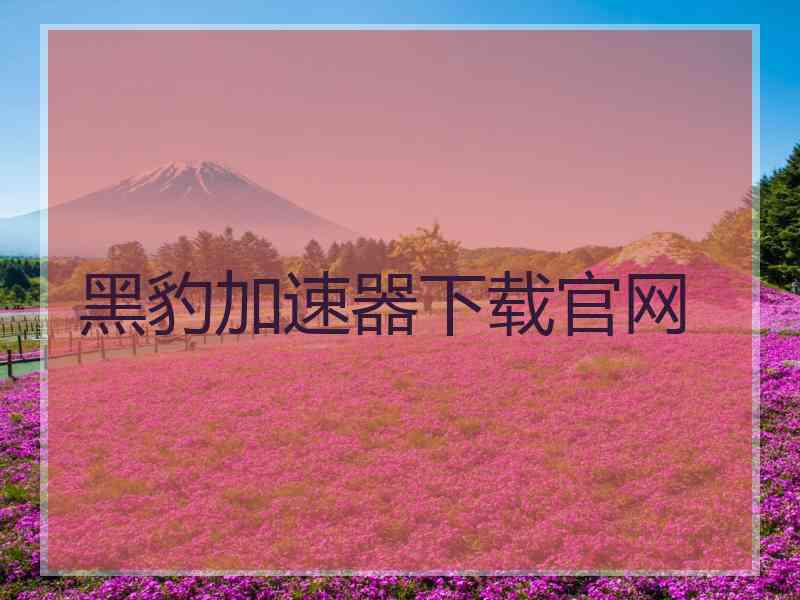 黑豹加速器下载官网