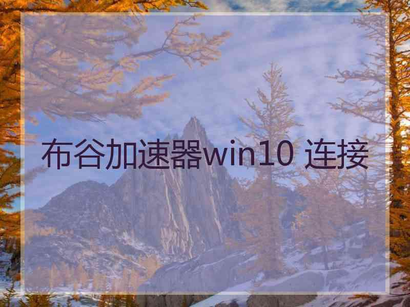 布谷加速器win10 连接