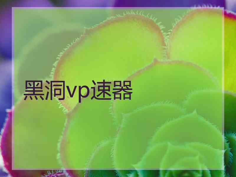 黑洞vp速器