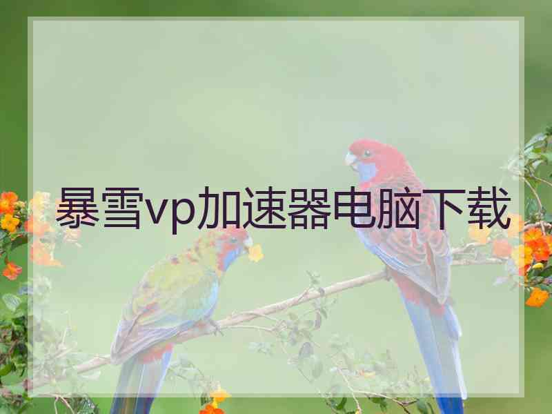 暴雪vp加速器电脑下载