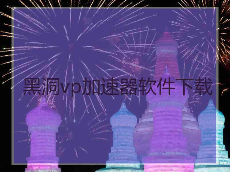 黑洞vp加速器软件下载